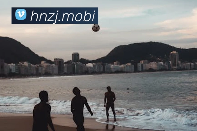 半岛官网网页版入口发展历程